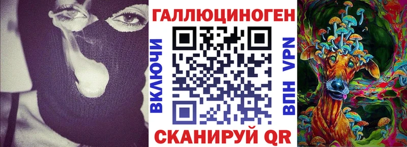 Купить где  Сорск  Псилоцибиновые грибы Cubensis 